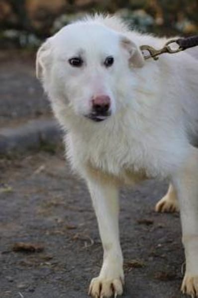 Maly - perfekt für Familie mit Kindern