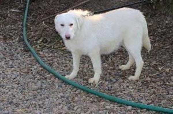 Maly - perfekt für Familie mit Kindern