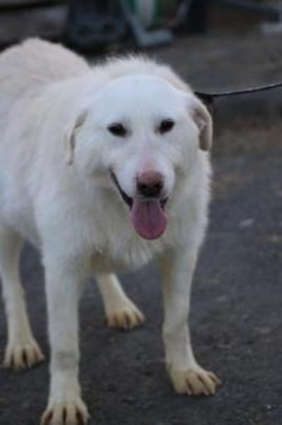 Maly - perfekt für Familie mit Kindern