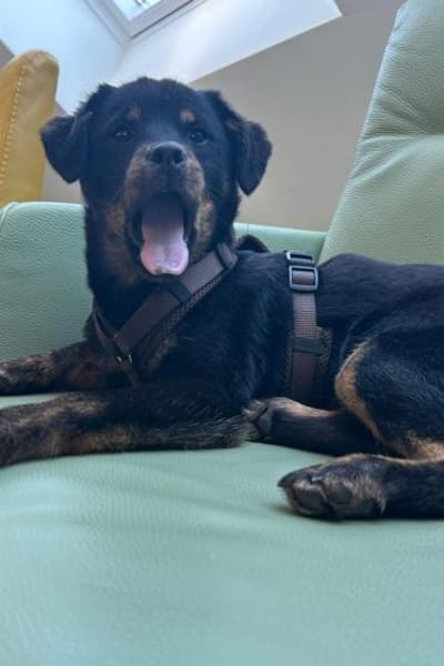 Babsi 💗 wartet in 45147 Essen