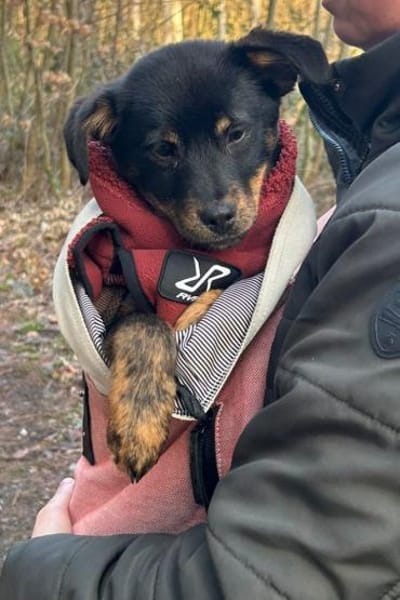 Babsi 💗 wartet in 45147 Essen