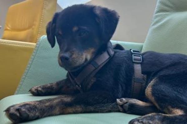 Babsi 💗 wartet in 45147 Essen