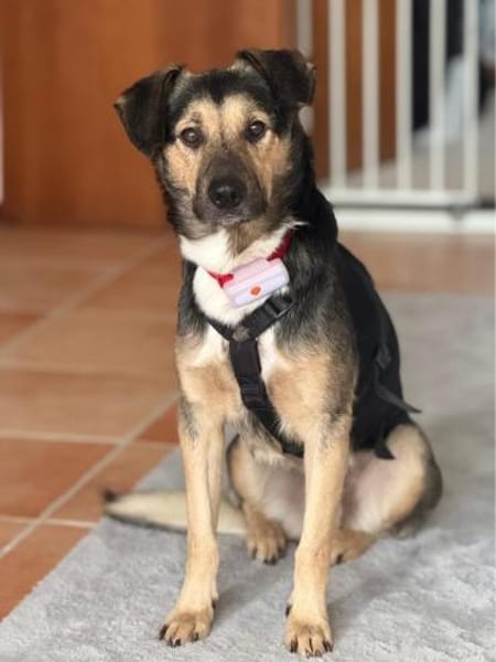 MILO vom Schatten ins Leben