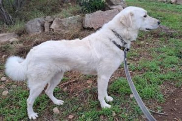 Ulrike - wartet in 39615 Seehausen