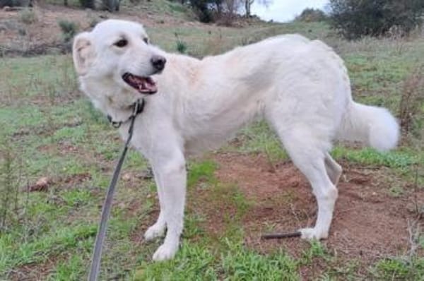 Ulrike - wartet in 39615 Seehausen