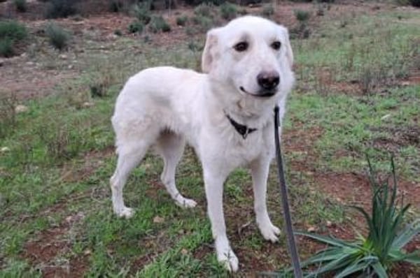 Ulrike - wartet in 39615 Seehausen