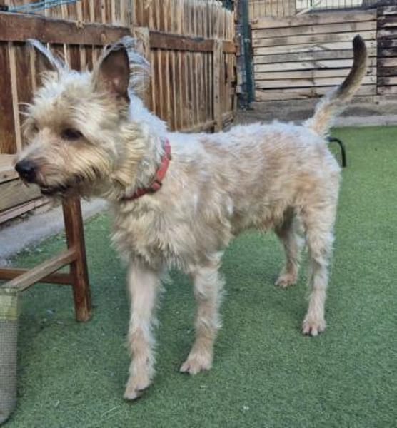 ROCKY 💝 verträglich mit ALLEM!