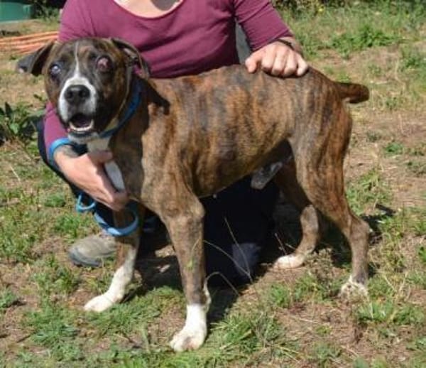 Santo braucht Liebe, kein Mitleid