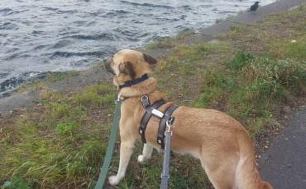 Freundlicher und lebensfroher Abruzzo