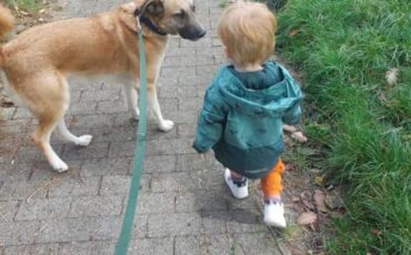 Freundlicher und lebensfroher Abruzzo