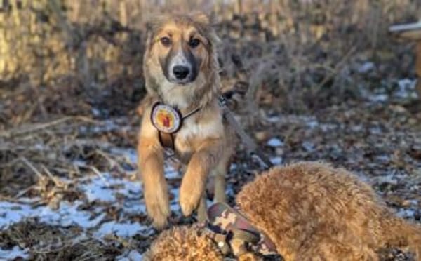 Kiani ist bereit für Abenteuer!