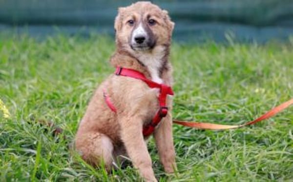 Kiani ist bereit für Abenteuer!