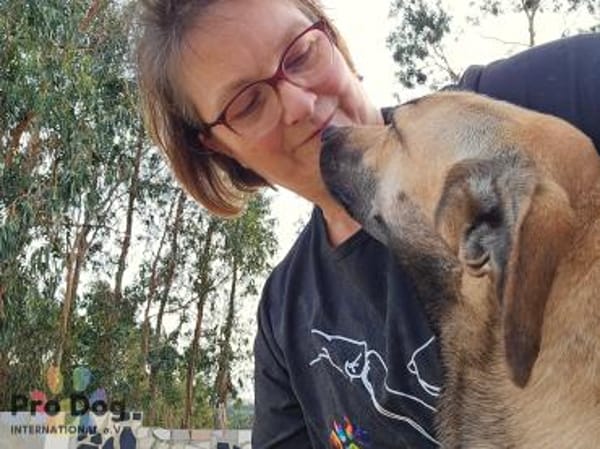 Romy auf Pflegestelle