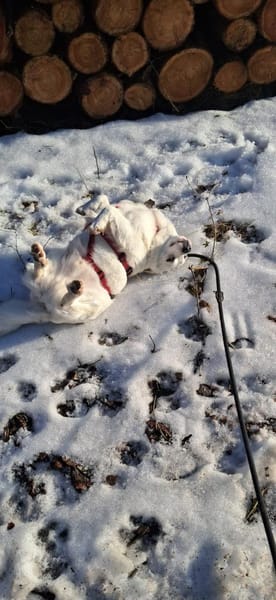 Albutu - der Schatz!