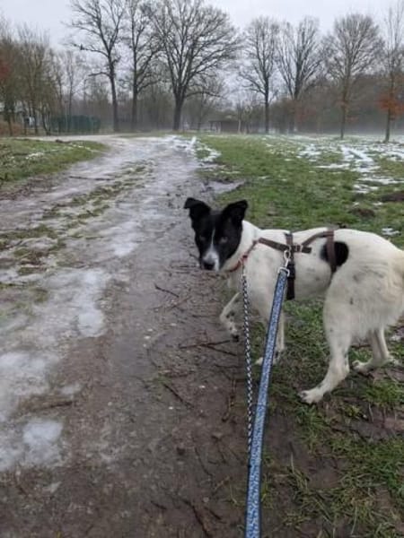 Falk - der Hübsche 🫶🏻