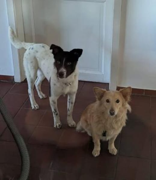 Falk - der Hübsche 🫶🏻