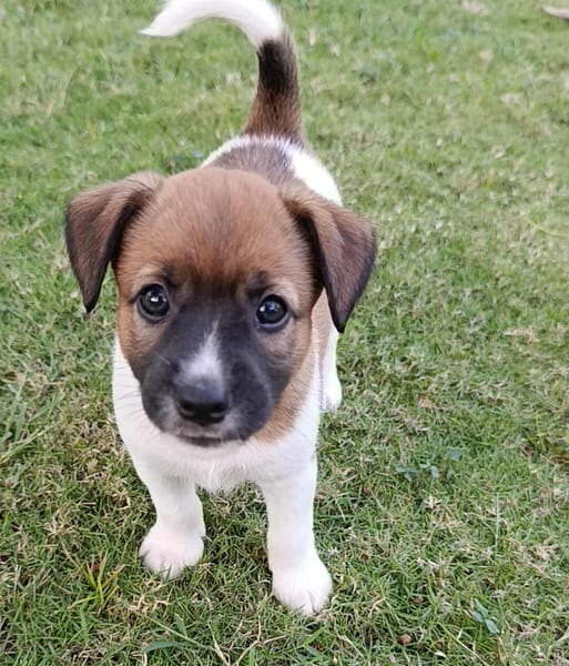 Mia la petite câline