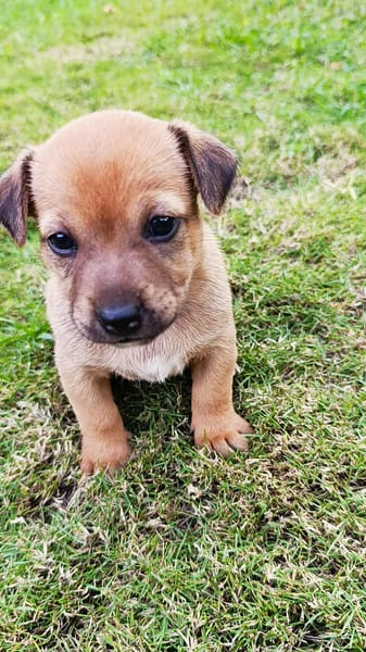LUNA bébé à croquer