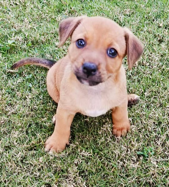 LUNA bébé à croquer