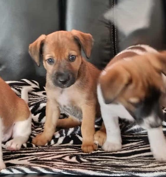 LUNA bébé à croquer