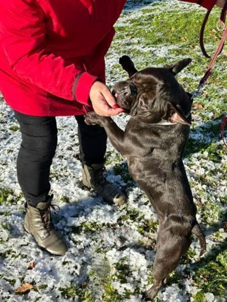 Knutschkugel Wilma (Tierschutz)