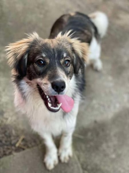 Max sucht erfahrenes zu Hause