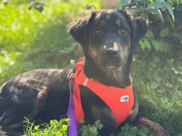 Bereit für's Glück- Vila