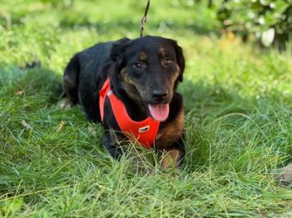 Bereit für's Glück- Vila