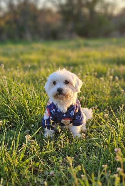 ENZO ❤ einfach haaaachhhh..