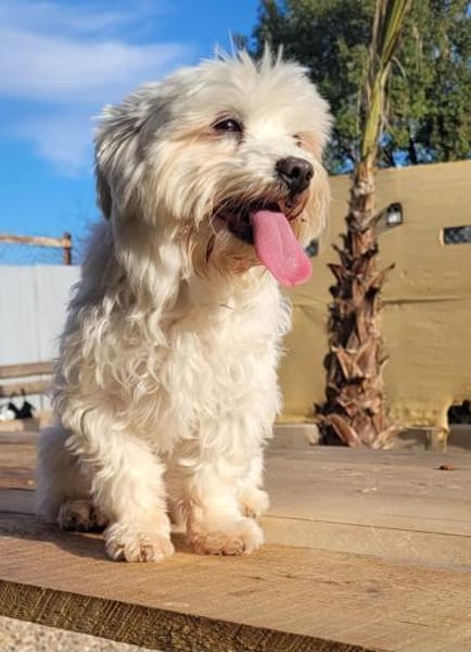 ENZO ❤ einfach haaaachhhh..