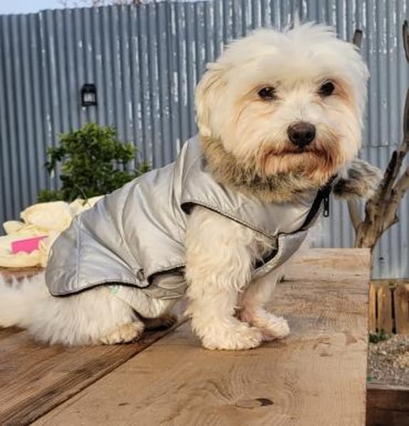 ENZO ❤ einfach haaaachhhh..