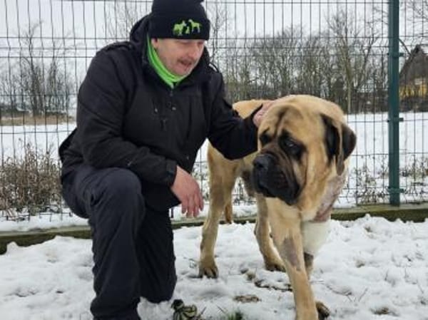 Lukas, sein Wunsch gutes Leben