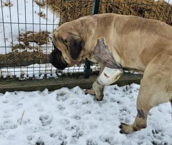 Lukas, sein Wunsch gutes Leben