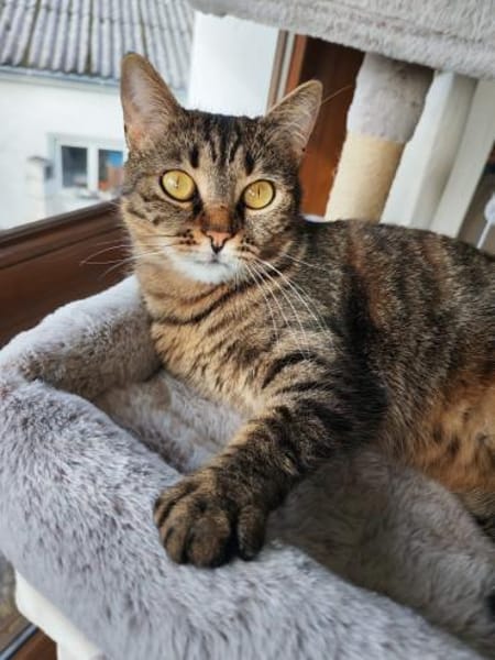 Süße Einzelprinzessin sucht Kuschelplatz