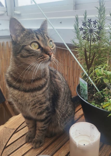 Süße Einzelprinzessin sucht Kuschelplatz