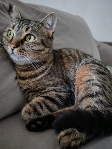 Süße Einzelprinzessin sucht Kuschelplatz