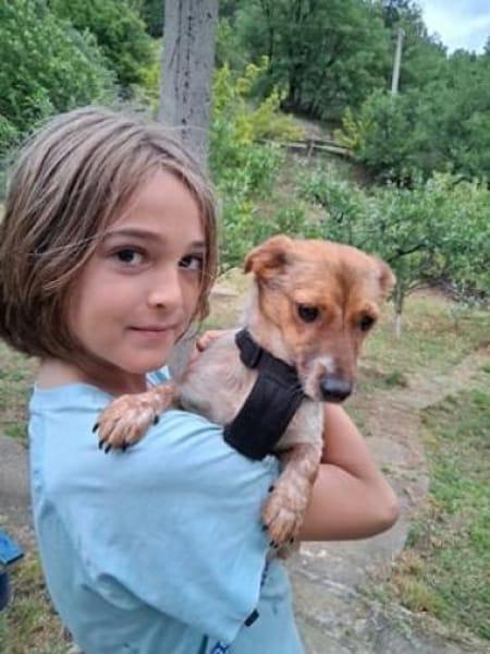 Frederik - aufgeweckte Knutschkugel