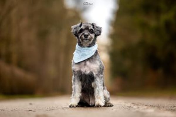 Perfekt, wer es unkompliziert mag :)