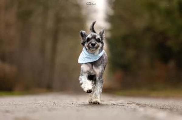 Perfekt, wer es unkompliziert mag :)