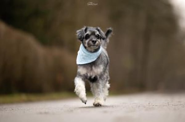 Perfekt, wer es unkompliziert mag :)