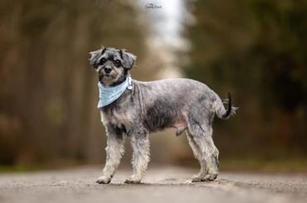 Perfekt, wer es unkompliziert mag :)