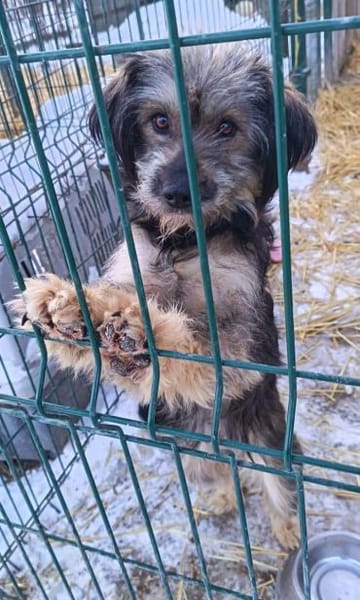 Milli ist einfach ein Schatz