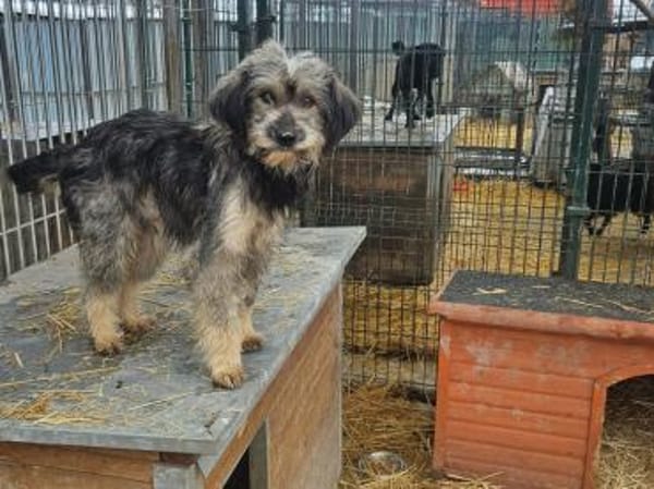 Milli ist einfach ein Schatz