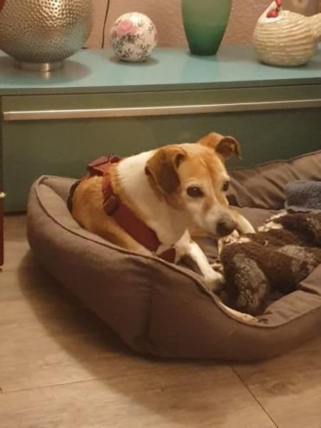 Conny - fit und sooo liebenswert