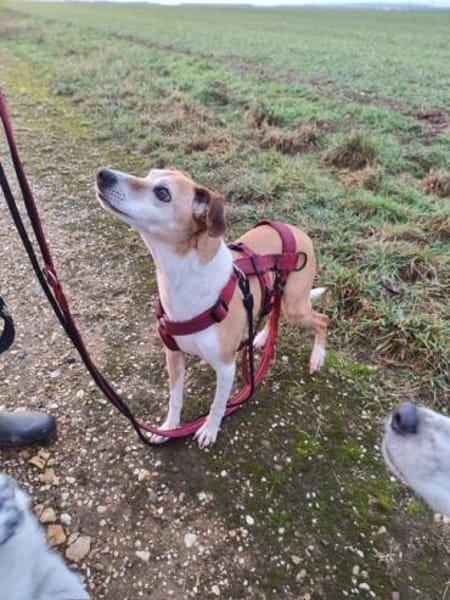 Conny - fit und sooo liebenswert