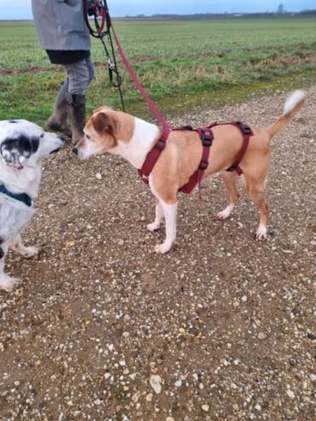 Conny - fit und sooo liebenswert