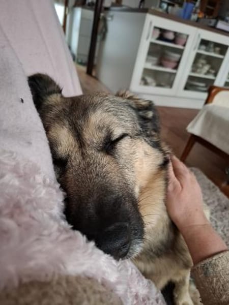 Kevin so lieb und schmusig noch unsicher