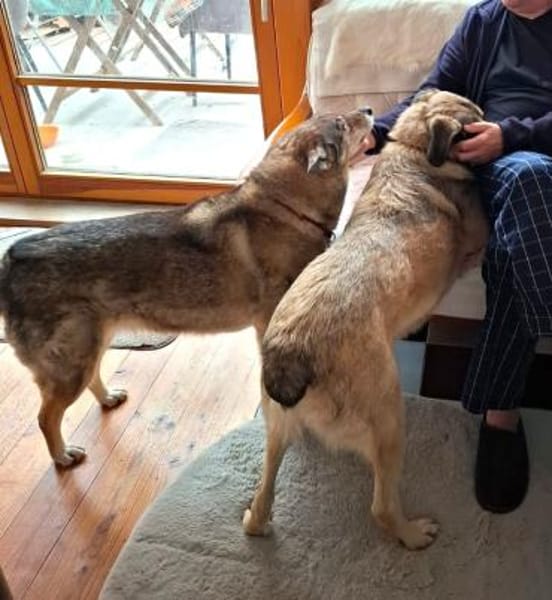 Kevin so lieb und schmusig noch unsicher