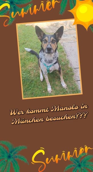 Manolo- wartet in München auf Dich!