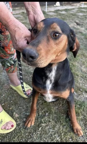 Soziale Soraya auf der suche nach ihrem